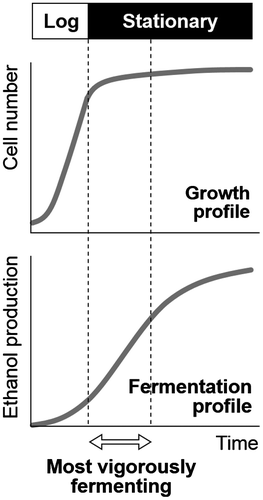 Fig. 1. Comparison of growth and fermentation profiles.