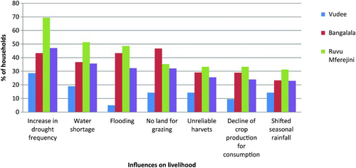 Figure 7. Factors considered ‘very important’ for the migration decision by the interviewed: Household survey, 2012.