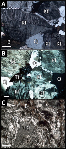 Figure 9. Selected photomicrographs showing granitoid clast mineralogy and textures in cross-polarised light. Scale bar is 200 μm. (A) PP184.1, equigranular (syeno)-granite clast with perthitic alkali feldspar. (B) Wh273, weathered equigranular (monzo)-granite, with feldspar crystals partially replaced by kaolinite and indeterminate clays. Titanite crystal is replaced by opaques. Quartz crystals have undulose extinction and are unaltered. (C) MP038, foliated porphyritic (syeno)-granite clast with perthitic alkali feldspar. Medium-grained matrix with foliation (top-left to bottom-right) shown by biotite. Q: quartz; Kf: alkali feldspar; Pl: plagioclase; B: biotite; Ti: titanite replaced by opaques.