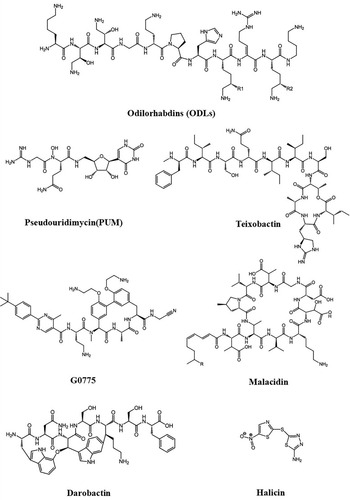 Figure 2 Potential drugs against drug-resistant bacteria with their chemical structure.