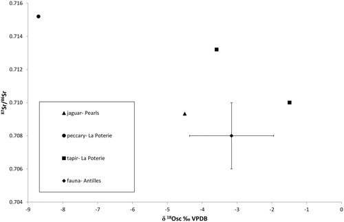 Figure 7. Chart of strontium and oxygen isotope values obtained from the dental enamel of mammalian tooth pendants from Grenada.