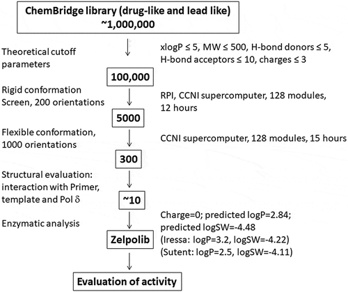 Figure 1. Flow-chart of the in silico screening protocol by Dock 6.4 of the ChemoBridge library.