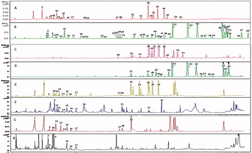Figure 5. Chromatograms of WCA extract and its different polar fractions by HPLC-MS. (A) TIC chromatogram of ME in the positive ESI mode. (B) TIC chromatogram of ME in the negative ESI mode. (C) TIC chromatogram of the P.E. extract in the positive ESI mode. (D) TIC chromatogram of P.E. extract in the negative ESI mode. (E) TIC chromatogram of EtOAc extract in the positive ESI mode. (F) TIC chromatogram of EtOAc extract in the negative ESI mode. (G) TIC chromatogram of the n-BuOH extract in the positive ESI mode. (H) TIC chromatogram of the n-BuOH extract in the negative ESI mode.