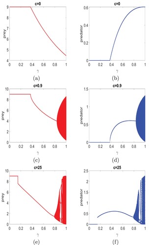 Figure 5. Bifurcation diagrams with respect to γ for 0≤γ≤1 are plotted. Fixed parameter values are λ=10 and β=0.3. The parameter value of c is 0 in (a)–(b), 0.9 in (c)–(d), and 25 in (e)–(f).