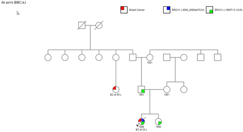 Figure 1 Family pedigree chart for case.