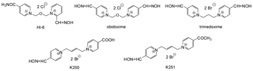 Figure 1.  Chemical structure of oximes.