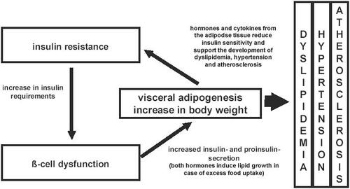 Figure 1 The relation of insulin resistance, β-cell dysfunction, obesity, and their associated complications.