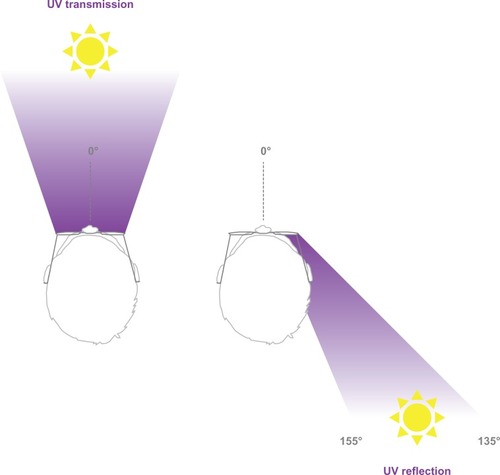 Figure 9 Two extreme cases that need to be considered: UV transmission (left, yellow) when the sun is in front of the wearer, and UV back reflection (right, purple) when the sun is coming from the back of the wearer.