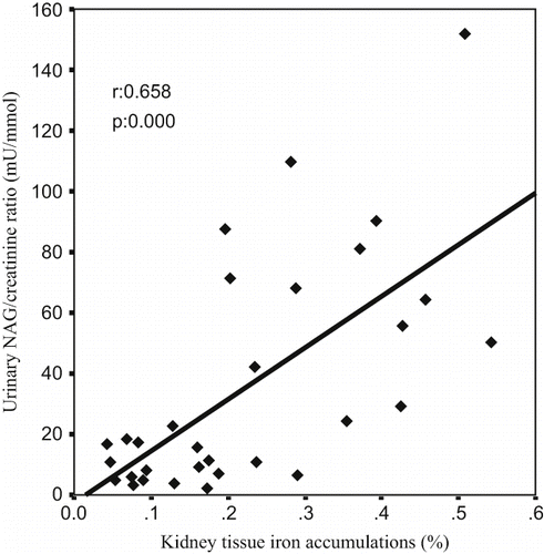 Figure 6. The scattergram shows the relation between kidney tissue iron accumulations (in %) and urinary NAG/creatinine ratio (in mu/mmol) in patient groups (ARF, ARF-LC, and ARF-proLC group).