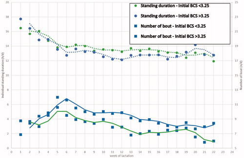 Figure 5. Standing time (h/d) and number of bouts (n/d) for group with Body condition score (BCS) at parturition (<3.25 or >3.25) during the first 22 weeks of lactation.