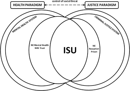 Figure 3. Multiple, overlapping and competing contexts of the Integrated Support Unit (ISU).
