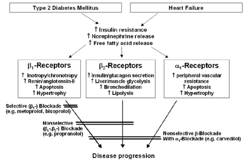 Figure 1 Potential beneficial effects of anti-adrenergic blockers in diabetic patients with heart failure.
