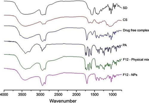 Figure 4 FTIR spectra of, from the top, sodium deoxycholate as purchased powder (SD), chitosan as purchased powder (CS), drug-free complex containing dry NPs of CS–SD at a ratio of 1:3, as purchased prednisolone acetate (PA), F12 formulation components as a physical mix and finally the F12 NPs formulation.Abbreviations: SD, sodium deoxycholate; CS, chitosan; PA, prednisolone acetate; NPs, nanoparticles.