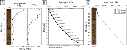 Figure 3. (A) Unsupported 210Pb decay curve and 137Cs activity in the upper part of the composite core (CAR-1; 0–34.5 cm); (B) resulting age–depth curve of the uppermost section (0–12 cm) based on the application of the CRS model; and (C) estimated chronological curve for the entire composite core (CAR-1 + CAR-2; 0–60.5 cm) based on 210Pb and 14C dating.