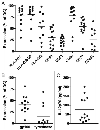 Figure 1. mRNA-optimized dendritic cell (DC) vaccine characteristics. Expression of HLA-ABC, HLA-DR/DP, HLA-DQ, CD80, CD86, CD70 and CD40L was measured by flow cytometry on DC of all patients (A). Tumor antigen expression of gp100 and tyrosinase by DC 4 h after electroporation with mRNA encoding gp100 and tyrosinase (B). Data are shown as percentage of positive DC of the first DC vaccine of each patient. The production of IL-12p70 by DC was measured in the supernatants 16 h after induction of maturation (C). Each dot represents the first DC vaccine of a patient.