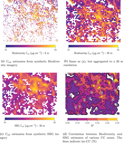 Figure 7. Comparison between C ab estimates from Biodiversity and SBG imagery over TZ. Pixels whose NDVI was lower than those that could be computed from the spectra of the training databases were masked.