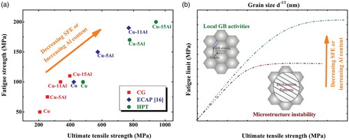 Figure 4. (a) Relationship between ultimate tensile strength and fatigue strength of pure Cu and Cu–Al alloys, showing that the tensile strength and fatigue limits can be simultaneously increased with lowering of the SFE or increasing the Al content in Cu and Cu–Al alloys; (b) schematic of relationship between ultimate tensile strength and fatigue strength in Cu and Cu–Al alloys showing that the fatigue strength cannot constantly increase with ultimate tensile strength due to different fatigue damage micromechanisms.