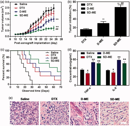 Figure 5. Evaluation on in vivo antitumor. (a) Changes in tumor volume of EC109/DDR tumor xenograft-bearing nude mice from day 10 to day 25. (n = 8, **p < 0.01 versus saline, ##p < 0.01 versus D-ME) (b) Tumor inhibition rate after antitumor treatment. (n = 8, **p < 0.01 versus DTX, ##p < 0.01 versus D-ME) (c) Survival curves within 70 days post-xenograft implantation. (d) TNF-α and IL-6 levels after intragastric administration of the different formulations for 14 days. (n = 4, *p < 0.05 and **p < 0.01 versus saline) (e) Histological section of tumor tissue collected at 72 h after the end of the treatment. The organs sections were stained with hematoxylin and eosin. Scale bar is 10 μm.