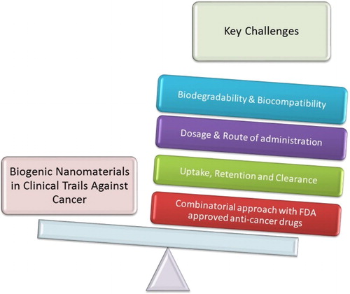 Figure 8. Major challenges for scientists before biosynthesized nanomaterials enter clinical trials for cancer theranostics.