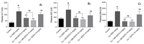 Figure 13 Plasma biomarkers of organ injury in copper-treated mice including (A) alanine aminotransferase (ALT), (B) aspartate aminotransferase (AST), and (C) lactate dehydrogenase (LDH) along with Cu level were assessed 24 hrs after Cu administration. Data are presented as mean ± SD (n=6). ***Indicates significantly different as compared with the Cu group (P<0.001) “a” indicates significantly different as compared with the control group (P<0.05).Abbreviations: MS-EDTA, ethylenediaminetetraacetic acid modified mesoporous silica; ns, not significant.