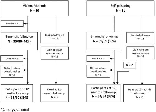 Figure 1. Flowchart for patients using violent methods and self-poisoning in suicide attempts.