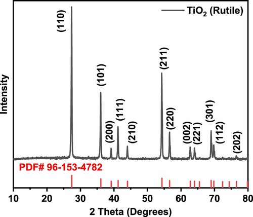 Figure 2. XRD pattern of rutile TiO2 NPs.