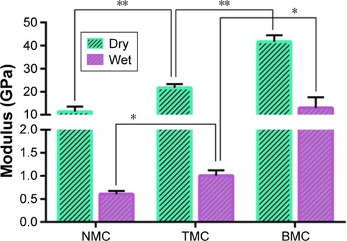 Figure 5 Elastic modulus of NMC, TMC, and BMC scaffolds at dry and wet conditions.Notes: Error bars represent mean ± SD for n=4. In dry conditions, the difference on elastic modulus among three subgroups is statistically significant (**P<0.01; n=4). In wet conditions, the difference is also statistically significant (*P<0.05; n=4).Abbreviations: BMC, biomimetic mineralized collagen; NMC, non-mineralized collagen; TMC, traditional mineralized collagen; SD, standard deviation.