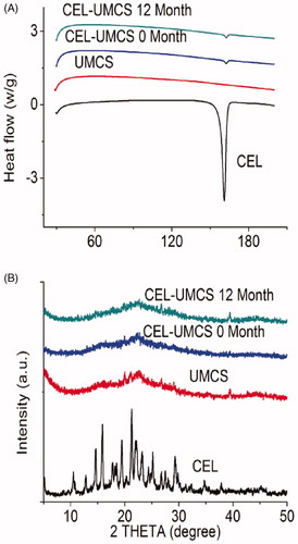 Figure 2. (A) DSC profiles of CEL, UMCS, CEL-UMCS and CEL-UMCS after stored for 12 months. 2(B) XRD pattern of CEL, UMCS, CEL-UMCS and CEL-UMCS after stored for 12 months.