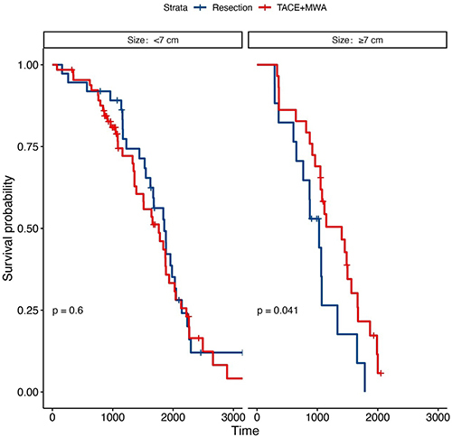 Figure 3 Subgroup analysis between patients with tumor size <7cm and ≥7cm. There was no significant difference in the OS in patients with HCC patients with tumor size <7cm. P = 0.6) between the two groups. In patients with HCC ≥7cm, the OS of patients in the TACE-MWA group showed better efficacy in the liver resection group (P = 0.041).