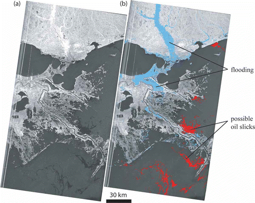 Figure 6. (a) Radarsat-1 image acquired on 2 September 2005, over New Orleans, Louisiana, USA. (b) The extent of flooding, mapped by combining the Radarsat-1 image with a pre-flood Landsat Enhanced Thematic Mapper Plus (ETM+) image mosaic. Several possible oil slicks are identified. Calm water acts as a specular reflector (or forward scatterer) of the SAR signal, resulting in very low backscatter values for flooded areas. However, flooding in areas with tall vegetation or buildings can result in very high, ‘double-bounce’ backscattering, a phenomenon that is important for identifying flooding in forests and urban areas. The tendency of oil slicks on water is to dampen the roughness of the water, which allows for discrimination of slicks in open water under moderate to light wind conditions.