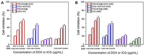 Figure 6 In vitro cytotoxicity in 4T1 cells treated with DOX·HCl, ICG, DOX·HCl+ICG, PSC/ICG@ nanoparticles, PSC/ICG@+DOX nanoparticles in the absence (A) or presence (B) of 808 nm NIR irradiation. (n=4).