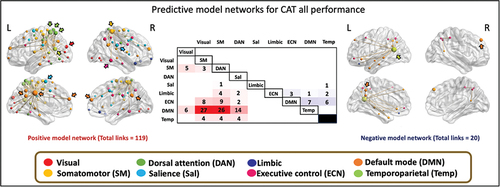 Figure 5. Functional anatomy of the CPM-based predicted CAT performance. the links of the positive model network predicting CAT_all is described. The positive (left) and negative (right) model networks of the CAT_all representing higher creative abilities are overlapped on the brain. The color of the nodes represents the different functional networks showed inside the brown frame. For descriptive display purposes, the size of the nodes is proportional to their degree, and the highest degree nodes are indicated by arrows representing the functional network to which they belong. The highest degree nodes were found mainly in the dorsal attention network (dark green arrows) in the left hemisphere and in the default mode network (orange arrows) in both hemispheres. Middle: The distribution of the links examined at the intrinsic functional networks level is presented in the correlation matrix. Each cell represents the number of links within and between the 8 main functional networks defined in the Schaefer atlas, in red colors for the positive model network and in blue colors for the negative model network. SM: somatomotor network, DAN: dorsal attention network, Sal: salience network, ECN: executive control network, DMN: default mode network, Temp: temporoparietal network.