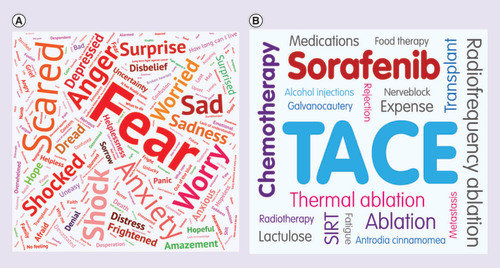 Figure 1. Descriptive word clouds.‘Thoughts on diagnosis’ (A) and ‘most challenging treatment’ (B) word clouds.In both word clouds, the size of the individual word relates to the number of times it was used by respondents. (A) Represents the three words used by respondents to describe their feelings upon diagnosis of HCC. Question: which three words best describe your feelings when you learned you had HCC? (B) Represents the treatment patients reported as being the most challenging (not including surgery). Question: excluding surgery – which of the treatments you have received for your liver cancer has been the most challenging?HCC: Hepatocellular carcinoma.