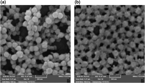 Figure 7. SEM micrograph of a) P (NIPAAM-MAA-HEM) nanogel, and b) P (NIPAAM-MAA-HEM) drug-loaded magnetic hydrogel nanocomposite.
