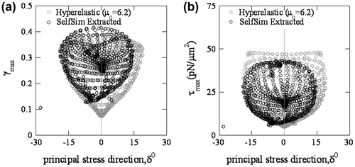 Figure 20. Principal stress direction from hyperelastic and extracted response after SelfSim using experiment data on healthy RBCs: (a) with maximum shear strain, and (b) with maximum shear stress.
