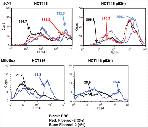 Figure 4. Fibersol-2 increases mitochondrial ROS of HCT116 and HCT116 p53(-) cells. Parental and p53(-) HCT116 were incubated in 2% or 4% Fibersol-2 containing cDMEM for 24 h, and then stained with JC-1 dye at 2.5 μg/ml for 10 min (upper panel). Mitochondrial ROS levels in parental and p53(-) HCT116 cells were detected by MitoSox (lower panel). Quantitative flow cytometry data were expressed as ΔMFI. Data were representative of 2 independent experiments.