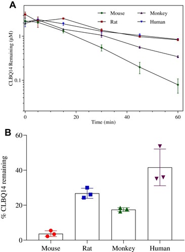 Figure 6 Microsomal stability of CLBQ14 following incubation in liver microsomes from CD-1 mouse, SD rat, cynomolgus monkey and human at 37 °C for 60 mins. (A) Rate of CLBQ14 disappearance. (B) Percent CLBQ14 remaining after incubation. (Error bar = standard deviation).