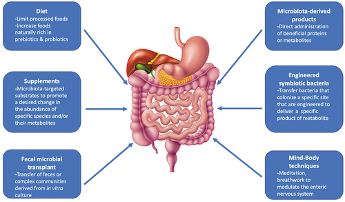 Figure 1. Microbiome-based interventions for SSc.