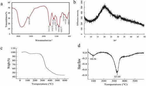 Figure 4. (a) Fourier transform infrared spectroscopy (FT-IR) spectra, (b) X-ray diffraction (XRD) pattern, (c) Thermogravimetric analysis (TGA) curves, (d) Differential thermal gravity analysis (DTG) curves of the Morchella importuna-derived soluble dietary fiber (MI-SDF).Figura 4. (a) Espectroscopia infrarroja por transformada de Fourier (FT-IR); (b) Patrón de difracción de rayos X (XRD); (c) Curvas de análisis termogravimétrico (TGA); (d) Curvas de análisis de gravedad térmica diferencial (DTG) de la fibra dietética soluble derivada de Morchella importuna (MI-SDF).