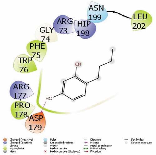 Figure 3. Presentation interactions of 4-Butylresorcinol with urease enzyme.