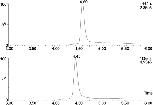 Figure 3. SIM chromatograms for a spinal fluid sample with GGGG-cystatin C added to a concentration of 15 mg/L. The top trace is cystatin C and the bottom one is GGGG-cystatin C.