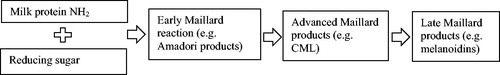 Figure 2. Stages of the Maillard reaction between milk proteins and reducing sugars and commonly used markers to monitor each stage.