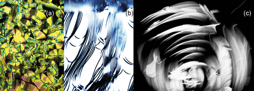 Figure 19. (Colour online) Polarised light optical microscopy for 14P1M7, (a) a mosaic texture sandwiched between slide and cover-slip, (b) the filamentary texture seen at the edges of the cover-slip (colour inverted), and (c) the self-propelled rotating texture of filaments located at the edge of a droplet, magnifications x100.