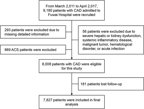 Figure 1 Study flowchart.