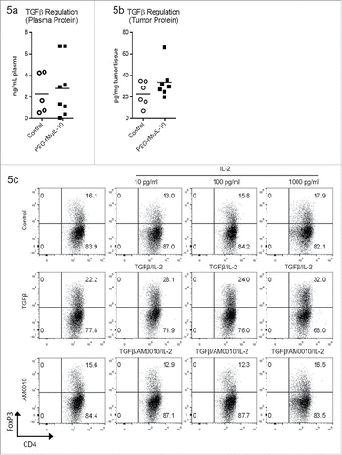 Figure 5. AM0010 treatment inhibits TGFβ/IL-2 induction of FoxP3+ CD4+ Tregs. (A) Quantitation of TGFβ plasma protein from tumor-bearing mice treated s.c. daily with 1 mg/kg PEG-rMuIL-10 or control for 10–28 d. Open circles represent control-treated mice, filled squares represent PEG-rMuIL-10-treated mice. (n = 5–8 mice/cohort) (B) Quantitation of intratumoral TGFβ protein from 4T1 tumor-bearing mice treated as in (A). Open circles represent control-treated mice, filled squares represent PEG-rMuIL-10-treated mice. (C) Assessment of human CD4+ T cells treated with 5 ng/mL TGFβ and 1000, 100 and 10 ng/mL IL-2 with or without AM0010 in vitro for 5 d. Data is representative of six of nine donor responses.