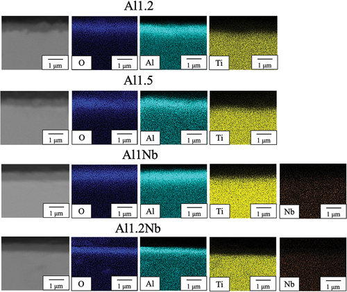 Figure 4. SEM and EDS images of the cross-sections of samples Al1.2, Al1Nb and Al1.2Nb after 14 d of isothermal oxidation in laboratory air at 800°C.