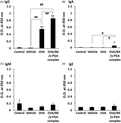 Figure 3. OVA-specific antibody in serum after pulmonary administration of the complex. Mice were treated four times with vehicle, OVA and the OVA/BK/γ-PGA complex weekly by pulmonary administration. Two weeks after the last administration, the mice were sacrificed, and serum samples were collected to measure OVA-specific IgG (A), IgA (B), IgM (C) and IgE (D) by ELISA. The 5% glucose solution was used as the control. Each value represents the mean ± S.E. (n = 4–5). *p < .05, **p < .01 vs. control, #p < .05, ##p < .01.