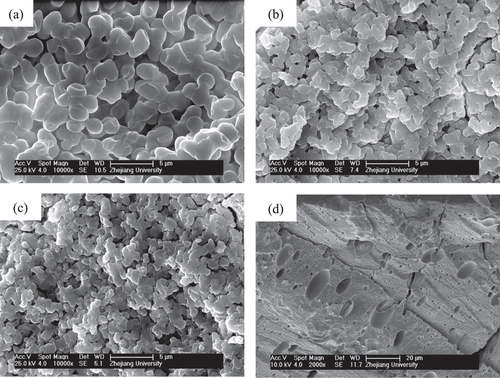 Figure 1. SEM images of dried ZrO2 gels prepared with various VPO: (a) 0.50 mL (P1), (b) 0.52 mL (P2), (c) 0.54 mL (P3) and (d) 0.56 mL (P4).