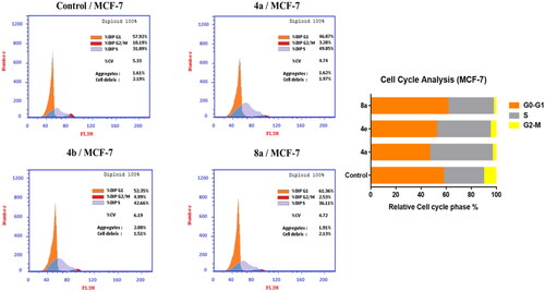 Figure 5. Effect of compounds 4a, 4e, and 8a on DNA-ploidy flow cytometric analysis of MCF-7 cells. The cells were treated with DMSO as control and 4a, 4e, and 8a for 24 h.