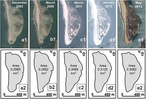 Figure 4. Decadal growth of the spit from 2003 to 2013. (a1) satellite image of 2003; (b1) 2009; (c1) 2011; (d1) 2012; (e1) 2013; and (a2)–(e2) sketches of the spit boundary with respect to years.
